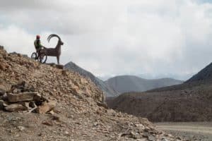 Kyrgyzsan mtb Arabel valley